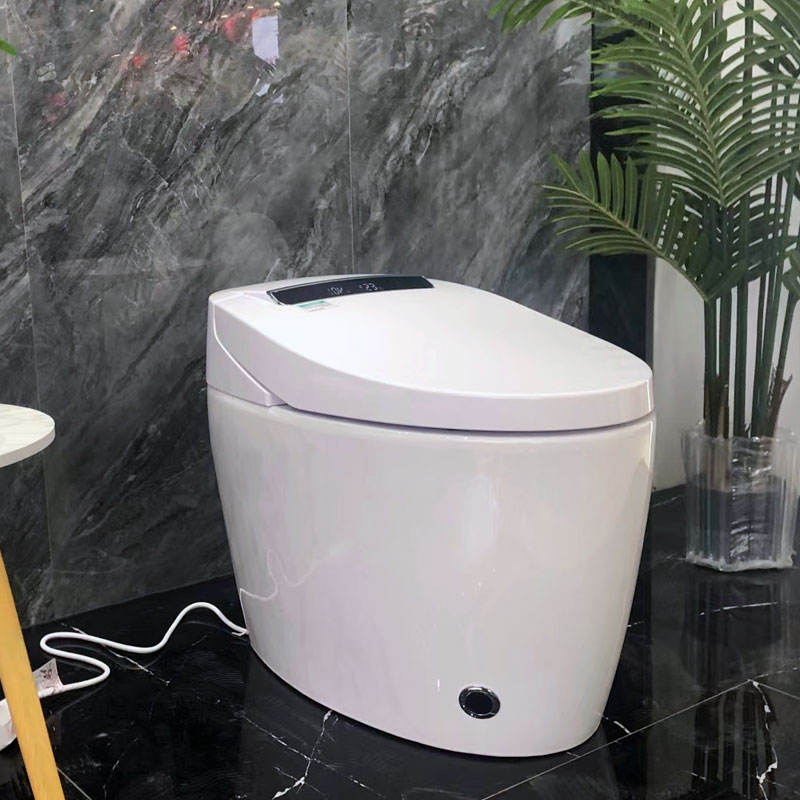 intelligent toilet intelligent toilet
